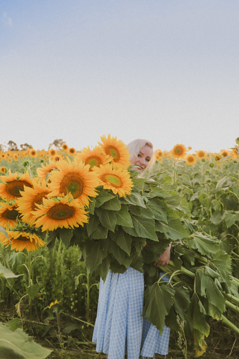 Liana stands in a field of sunflowers in a dress the colour of the sky. Photo taken at Pick Your Own Sunflowers in Dunnstown.