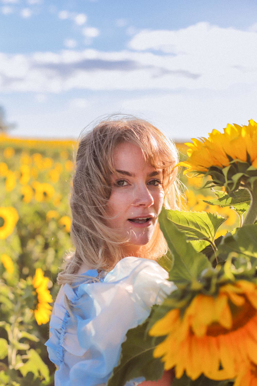A woman in a blue selkie dress holds a bunch of sunflowers in a sunflower field in Ballarat