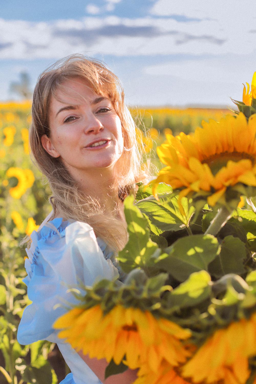 A woman in a blue selkie dress holds a bunch of sunflowers in a sunflower field in Ballarat
